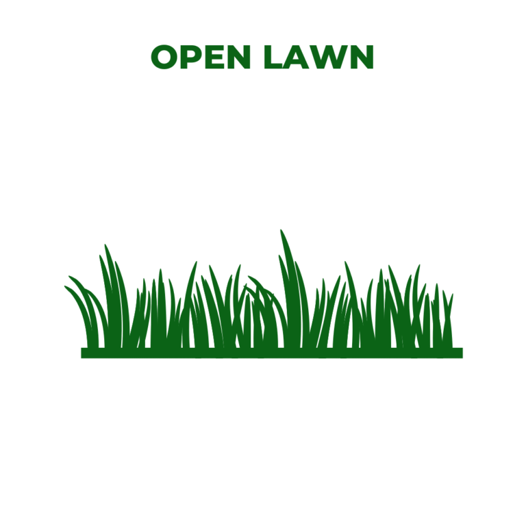 Open Lawn